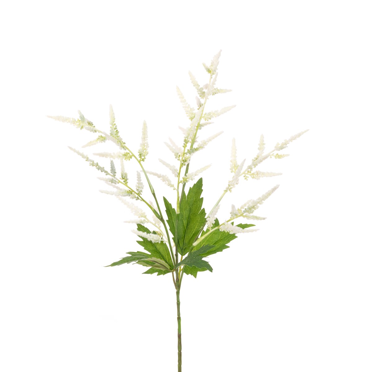 Astilbe Spray - 61cm - White-0