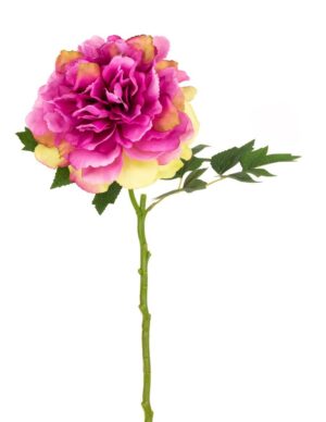 Blush Peony Fuchsia - 62cm Fuchsia-0