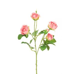 Abeba Rose Spray 60cm Melon-0