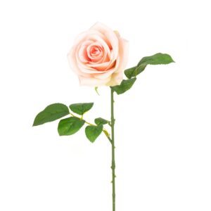 Gemma Single Rose - 64cm Pink-0