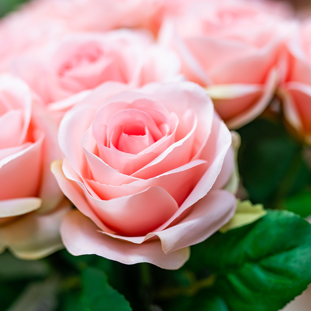 Gemma Single Rose - 64cm Pink-24895