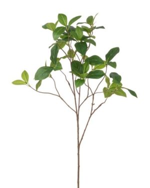 Enkianthus Spray - 96cm Green-0