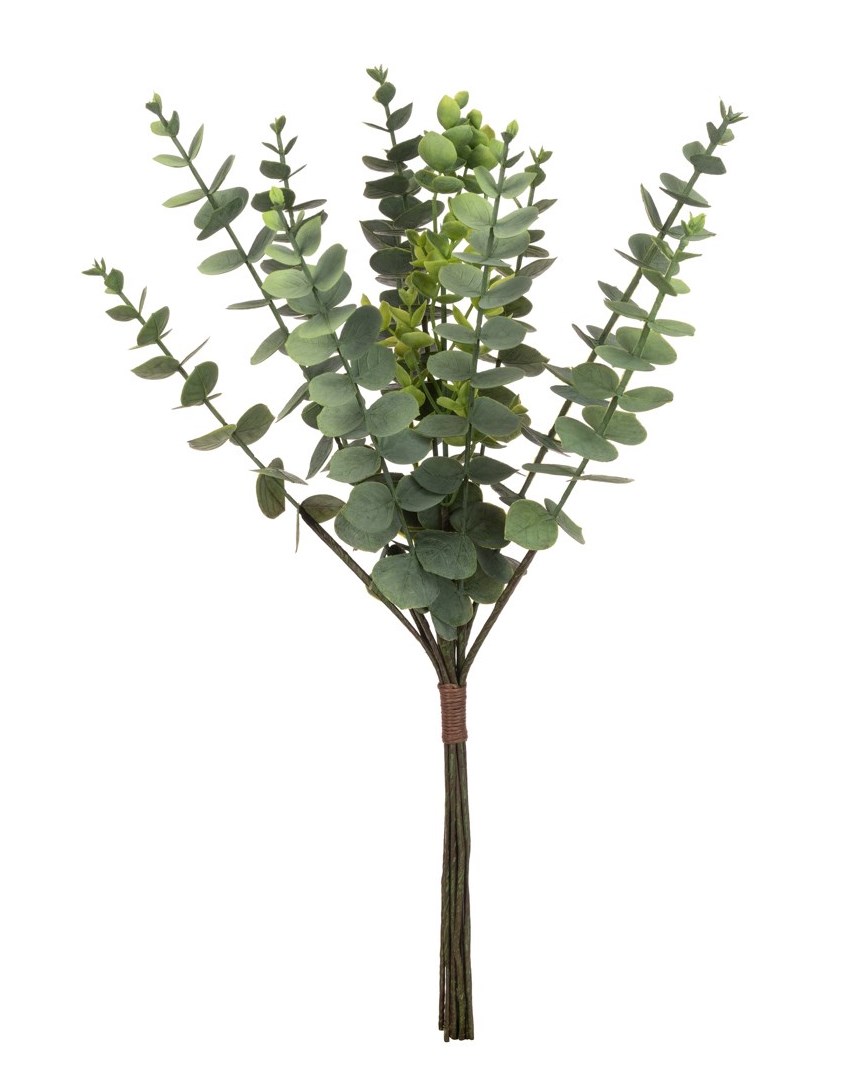 Eucalyptus Bundle - 46cm-0