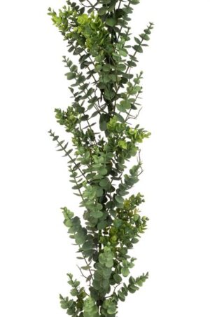 Eucalyptus Garland - 183cm-0