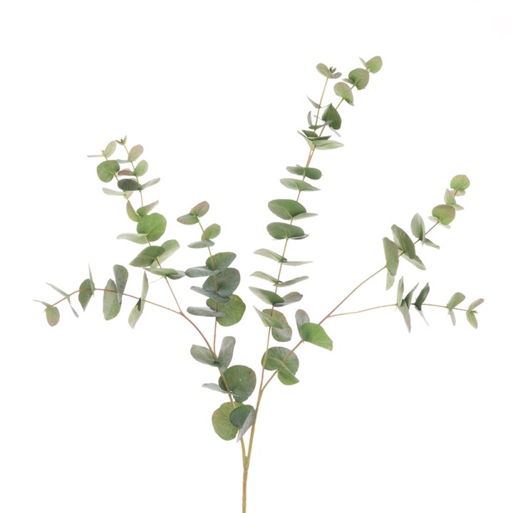 Jackson Eucalyptus Spray - 101cm-0