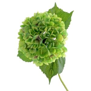 Single Hydrangea 82cm Green-0