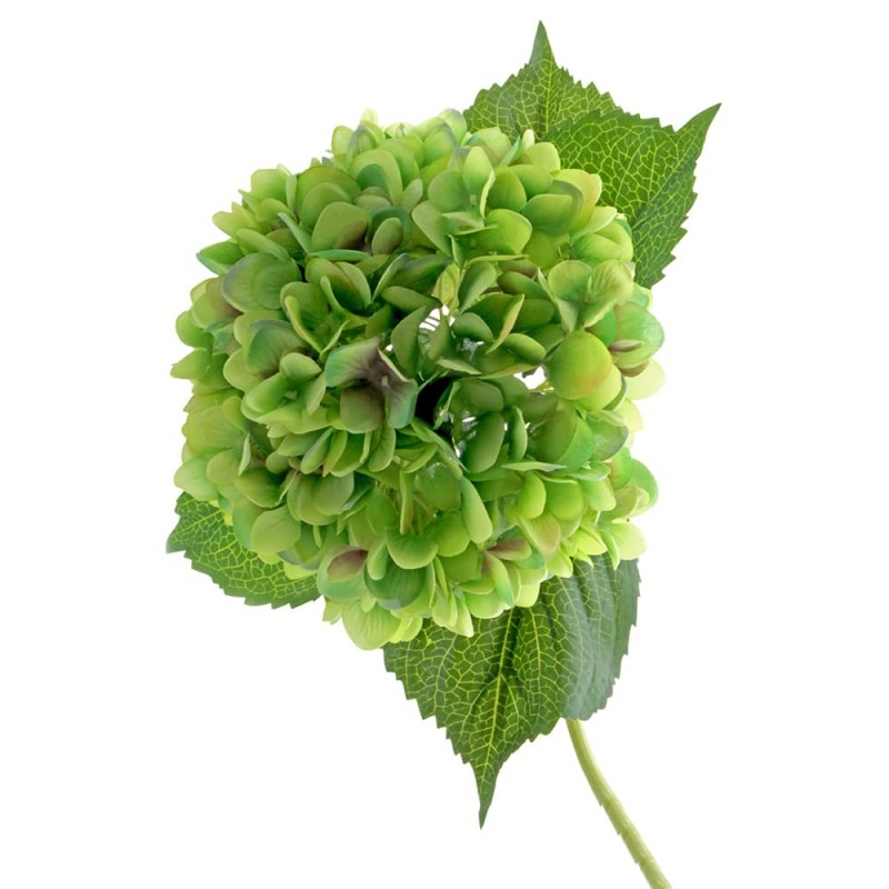 Single Hydrangea 82cm Green-0
