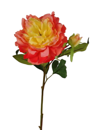66cm Peony Peach-0