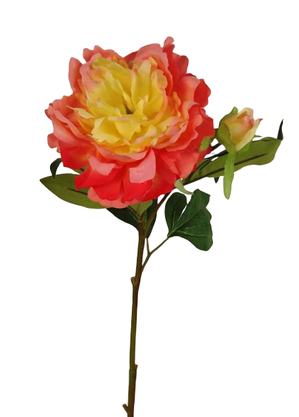 66cm Peony Peach-0