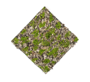 Dry Moss Mat Green/Grey 50 x 50cm-0