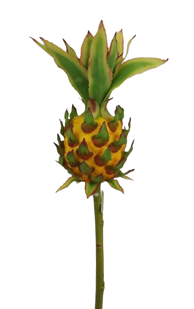 50cm Pineapple Pick Yellow-0