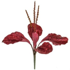Plantain Red 29cm-0