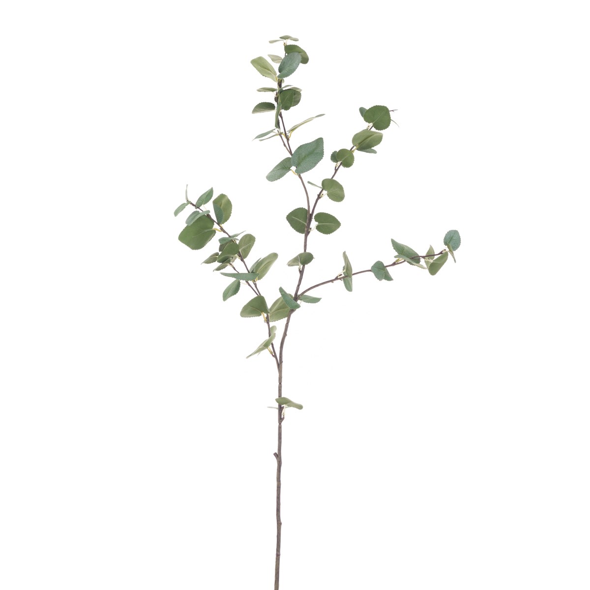 Eucalyptus Spray 96cm-0