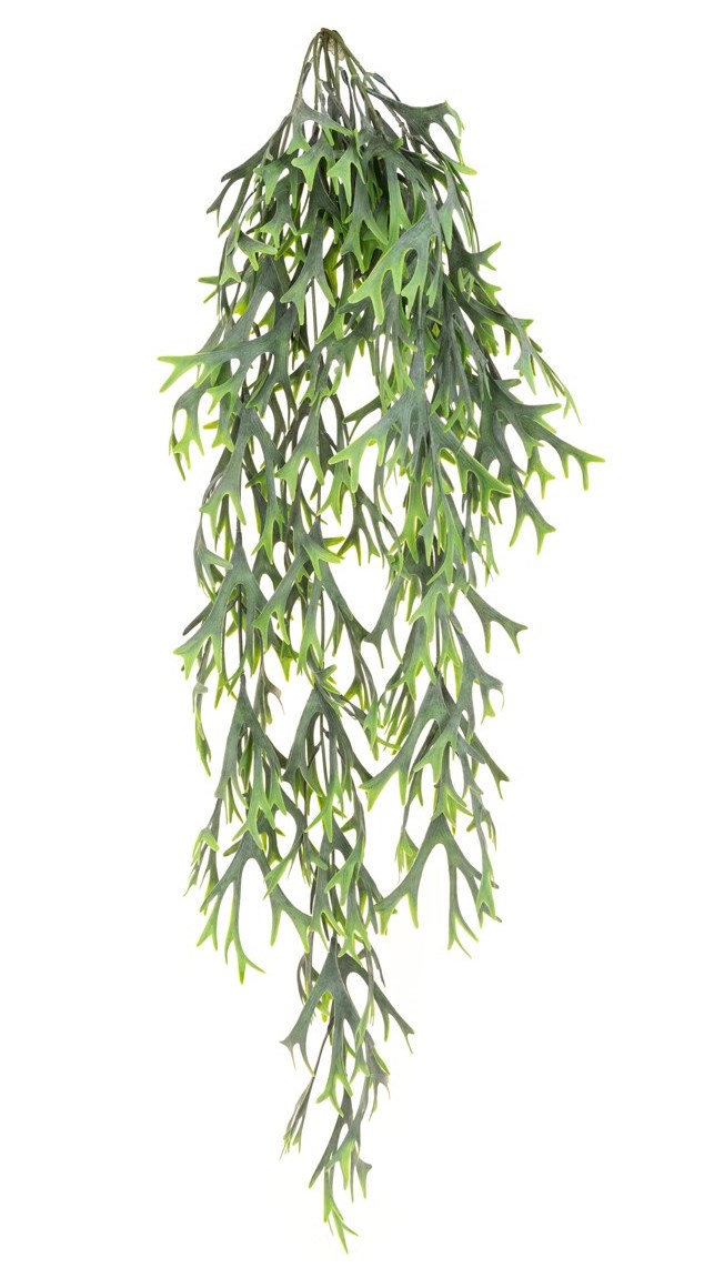 UV Citronella Hanging Bush-0