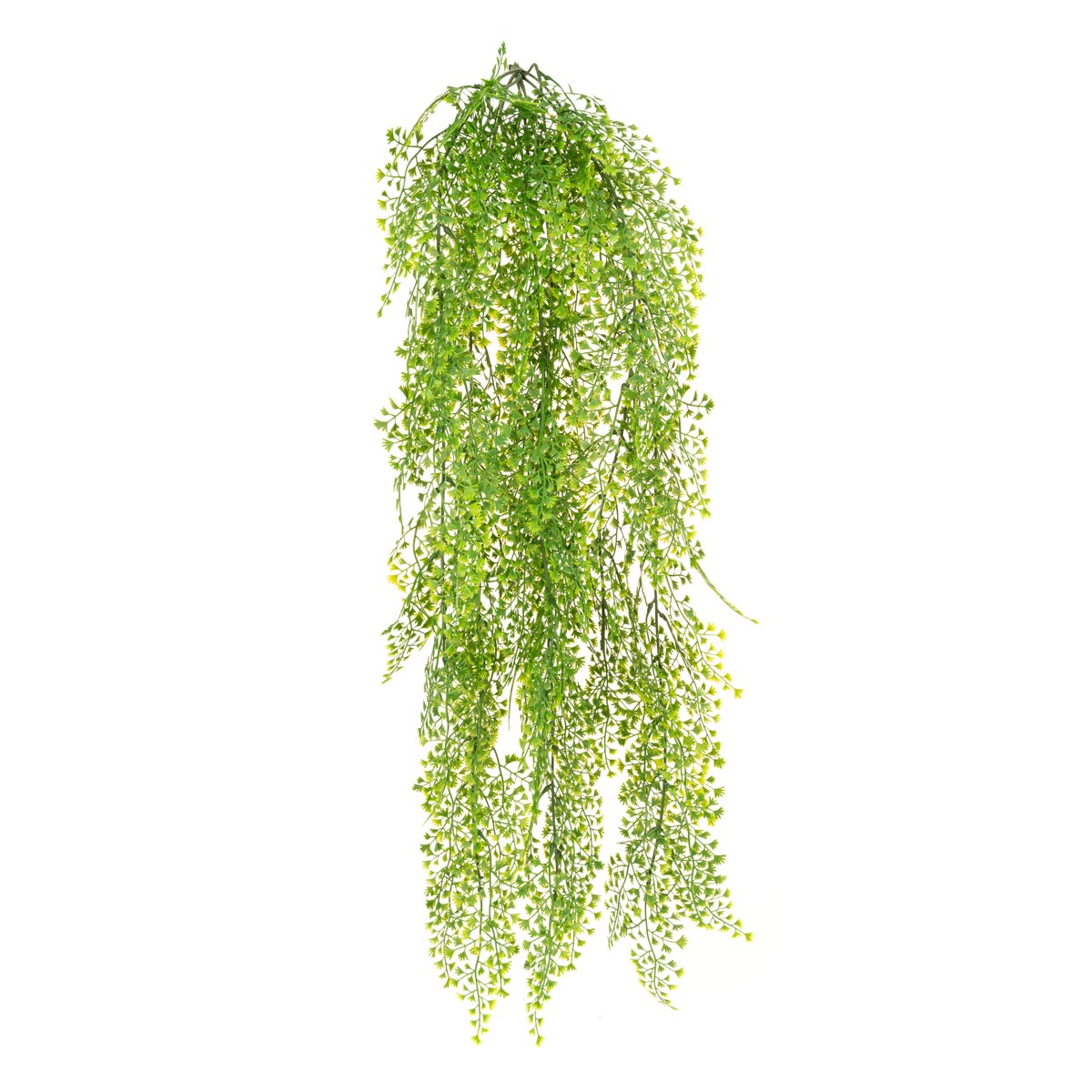 UV Hanging Maidenhair Fern-0
