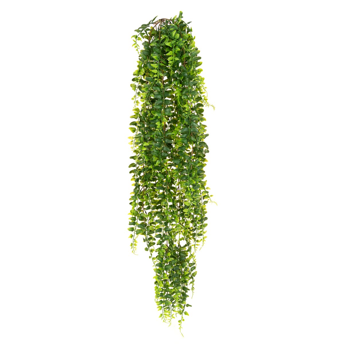 UV Boston Fern Bush Trail 101cm-0
