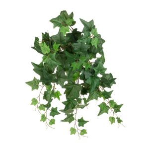ECO UV English Ivy Bush Trail - 58cm-0