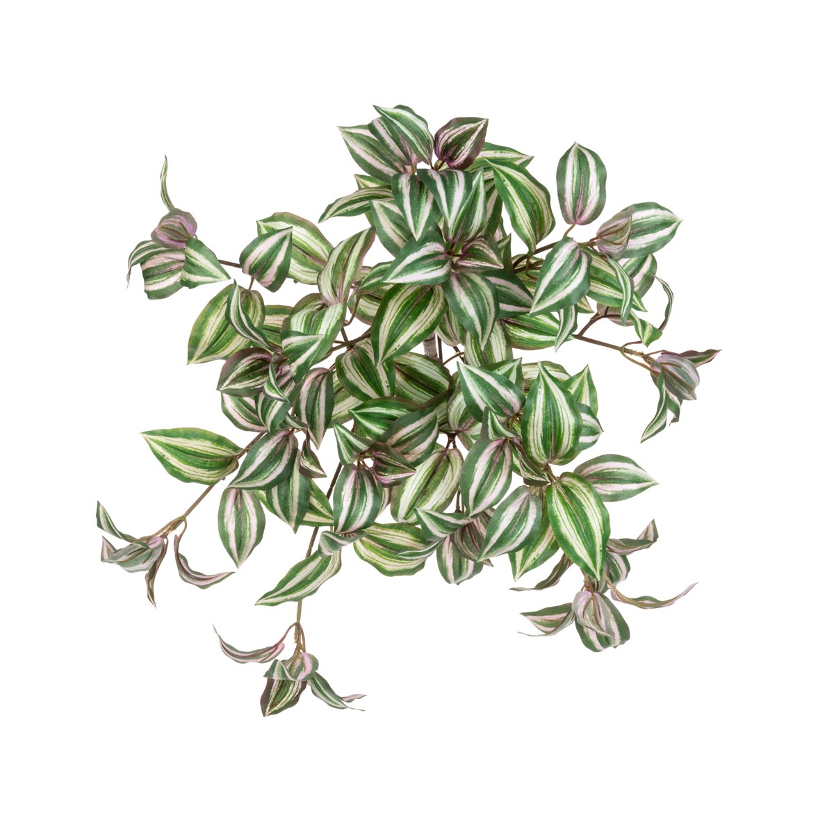 UV Tradescantia Trail - 44cm-0
