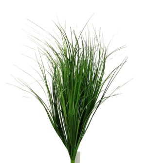 Dune Grass Bunch 67cm-0