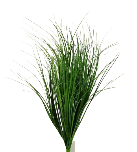 Dune Grass Bunch 67cm-0