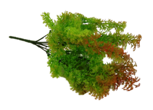 Fish Grass Bush 35cm-0