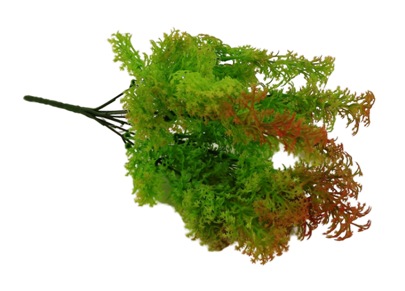 Fish Grass Bush 35cm-0