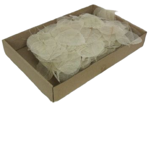 Skeleton Leaves Natural x 500pcs-0