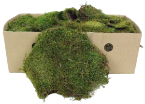 Flat Moss Box 1 Kg