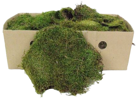 Flat Moss Box 1 Kg