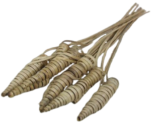 Cane Cone Natural X 25-0
