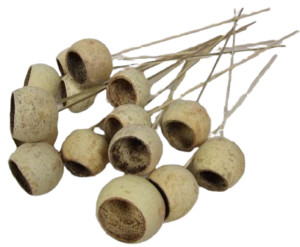 Bell Cup Medium x 15 Pcs-0