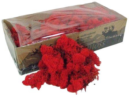Reindeer Moss (Icelandic Moss) Red