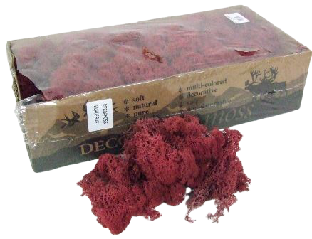 Reindeer Moss (Icelandic Moss) Burgundy