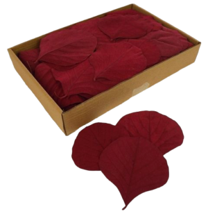 Cobra Leaves Red 100 Per Box-0