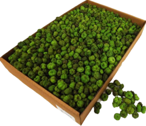 Putka Pods Light Green-0