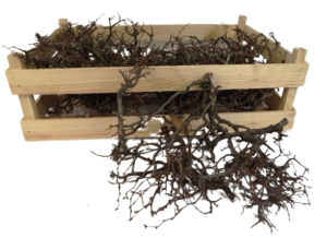 Bonsai Wood Natural App 2kg-0