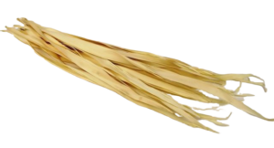 Sun Palm Leaves Bleached-0