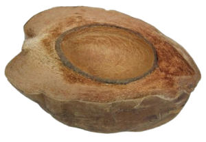 Coconut Half Natural x 3pcs-0