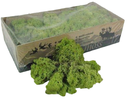 Reindeer Moss (Icelandic Moss) Old Green