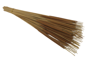 Typha Mini X 100 Stems App 75cm-0