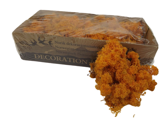 Reindeer Moss (Icelandic Moss) Orange
