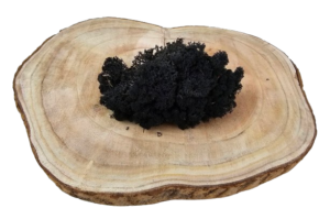 Reindeer Moss (Icelandic Moss) Black
