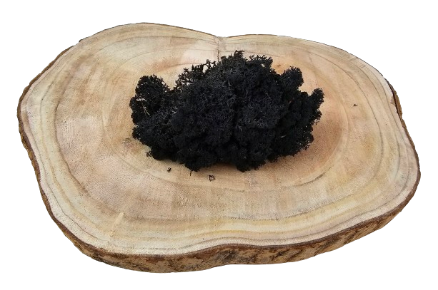 Reindeer Moss (Icelandic Moss) Black