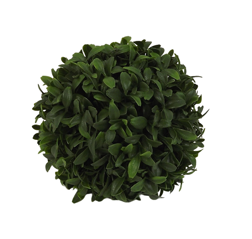 Boxwood Ball D - 15cm-0