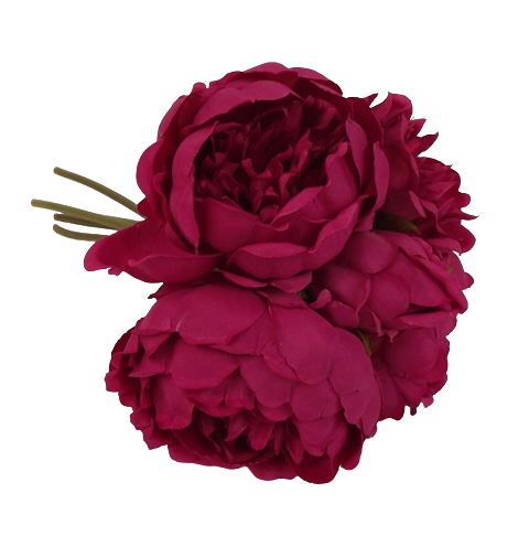 28cm Beauty Peony Posy x 5 Heads-0