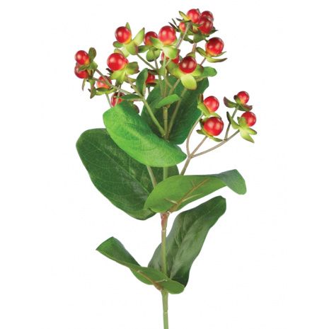 Hypericum x 23 Berries W/72 Leaves Red-0