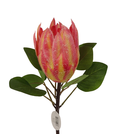Protea 65cm Pink-0