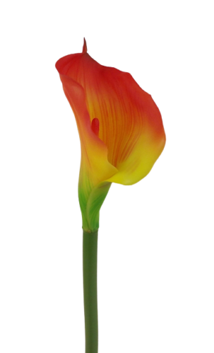 Real Touch Calla Lily 68cm Red/Yellow-0