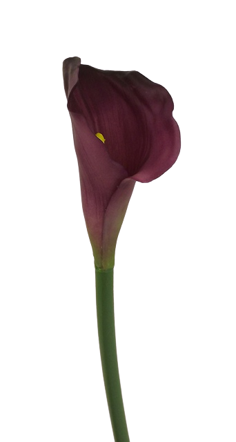 Real Touch Calla Lili 68cm Dark Purple-0