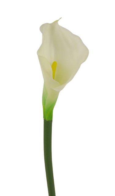 Real Touch Calla Lily 68cm White/Cream-0